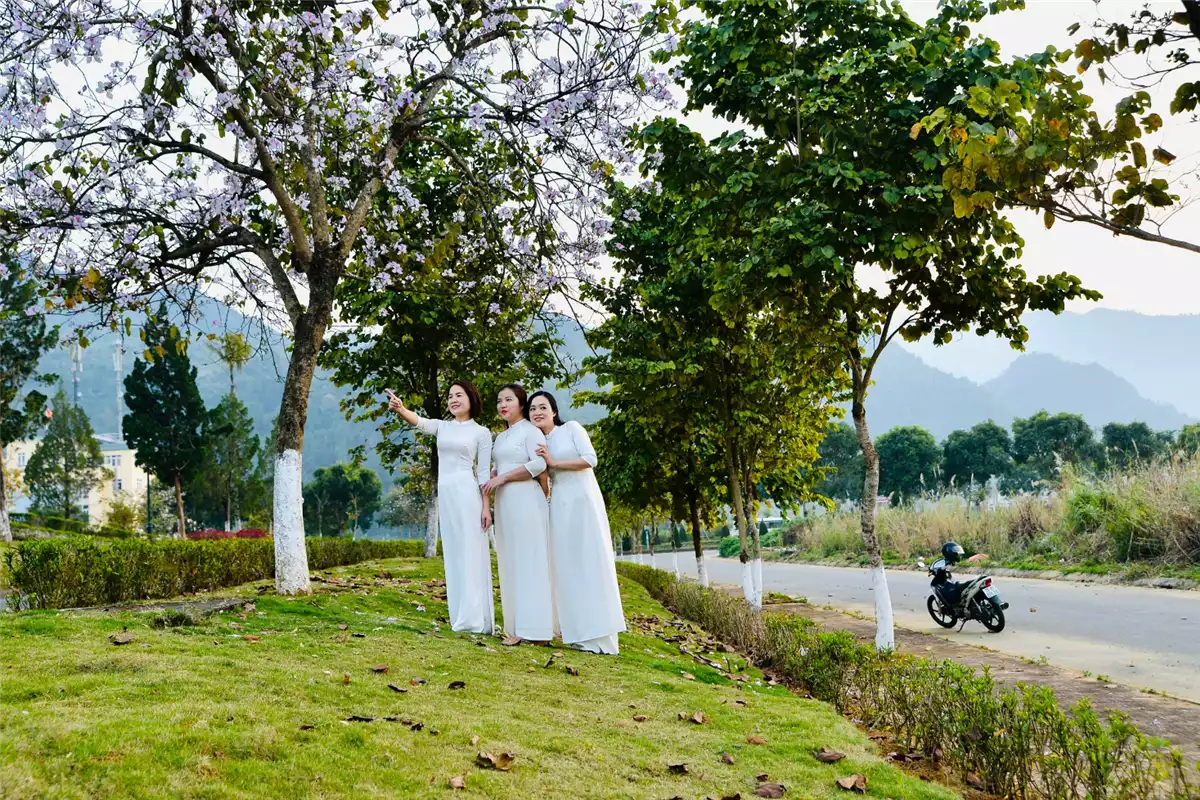 Tháng ba – có hẹn với “mùa hoa Ban nở”