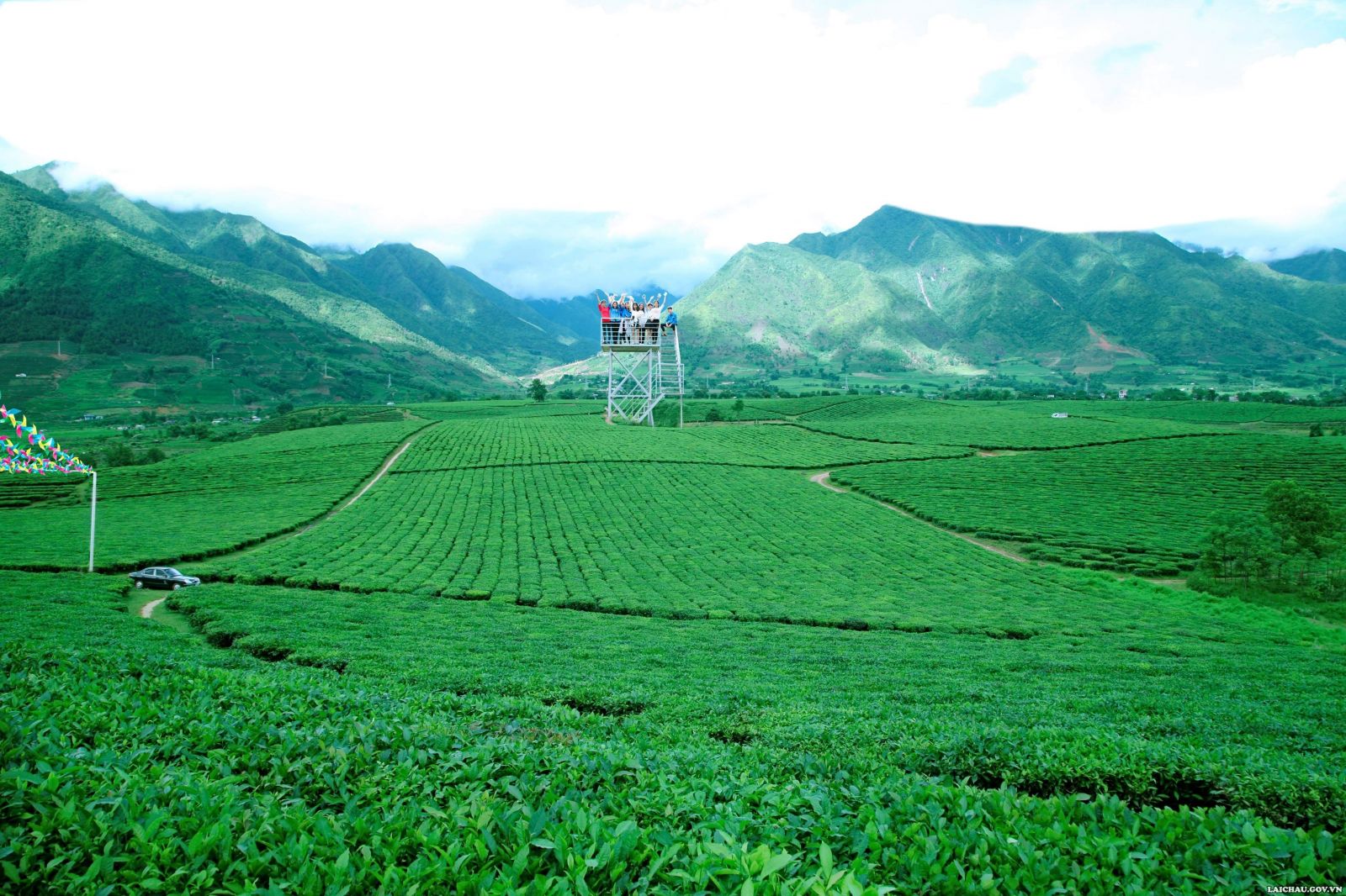 Lai Châu - Điểm du lịch chè Tân uyên