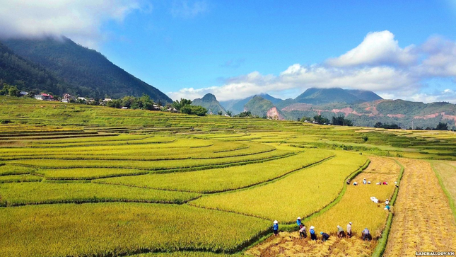 Ruộng bậc thang Lai Châu: Tuyệt tác của thiên nhiên