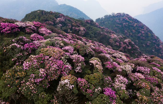 5 cung trekking mùa xuân miền Bắc