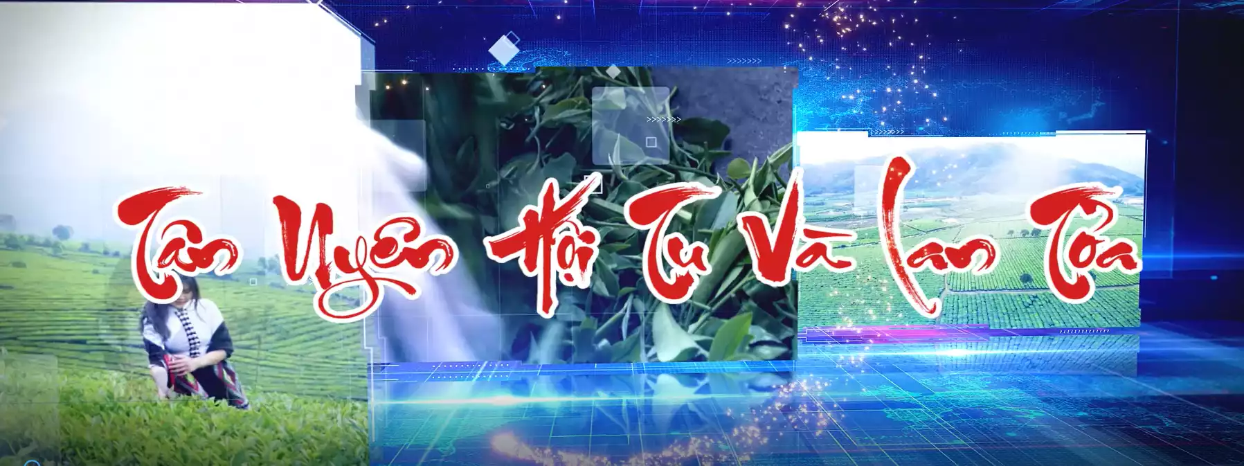 Trailer lễ hội trà huyện Tân Uyên lần thứ II năm 2025