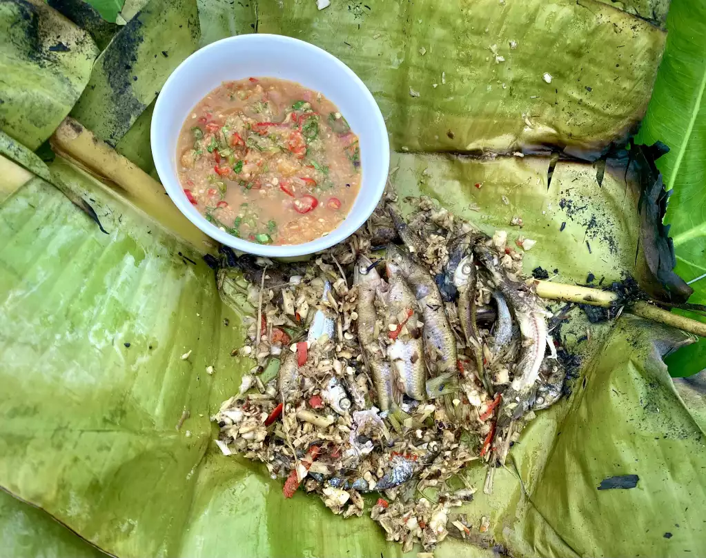 Cá bống vùi tro