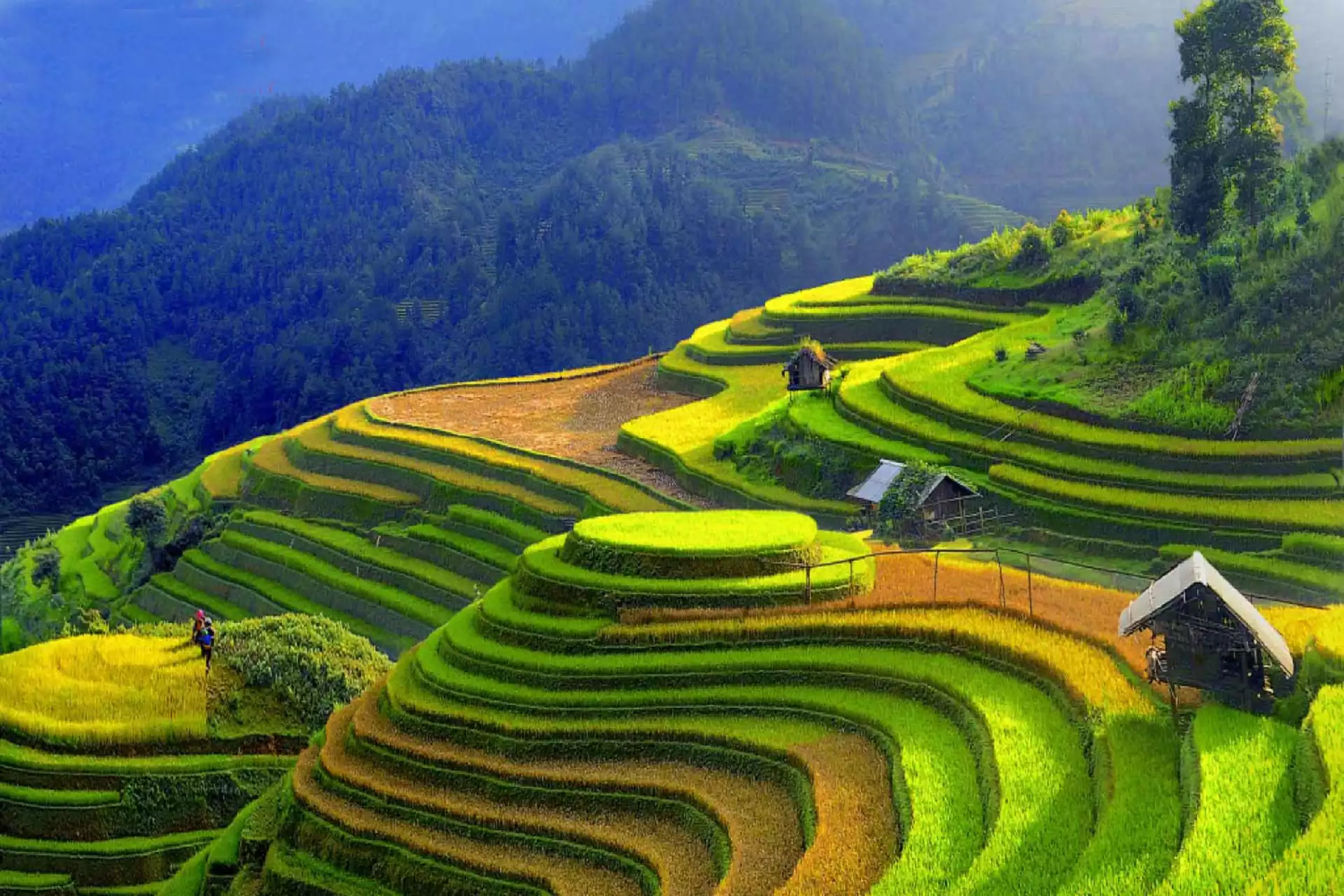 Du lịch Lai Châu