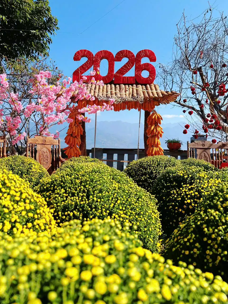 Cuối tuần có hẹn với Tam Đường Tea - Lai Châu