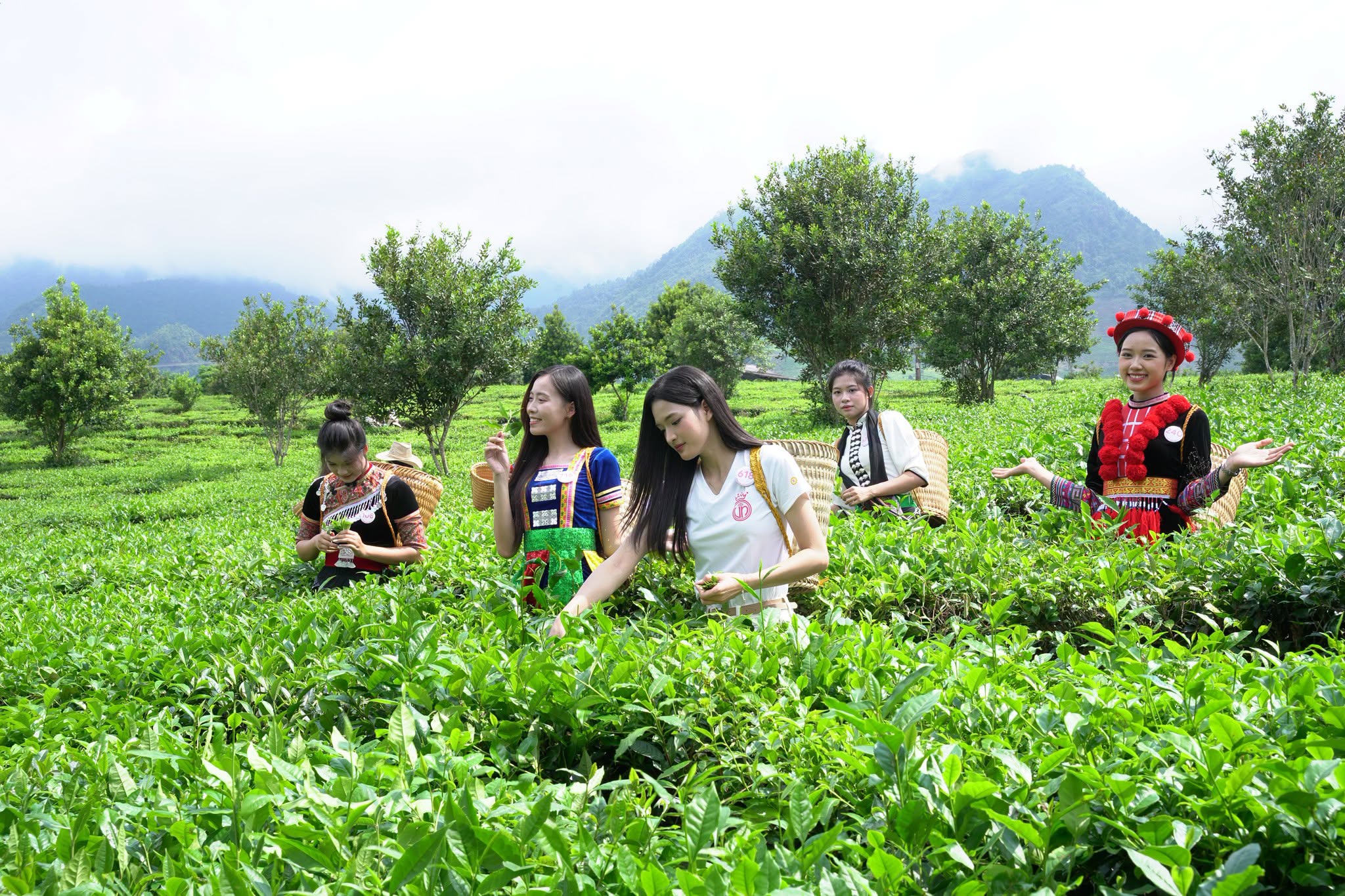 Có thể là hình ảnh về một hoặc nhiều người