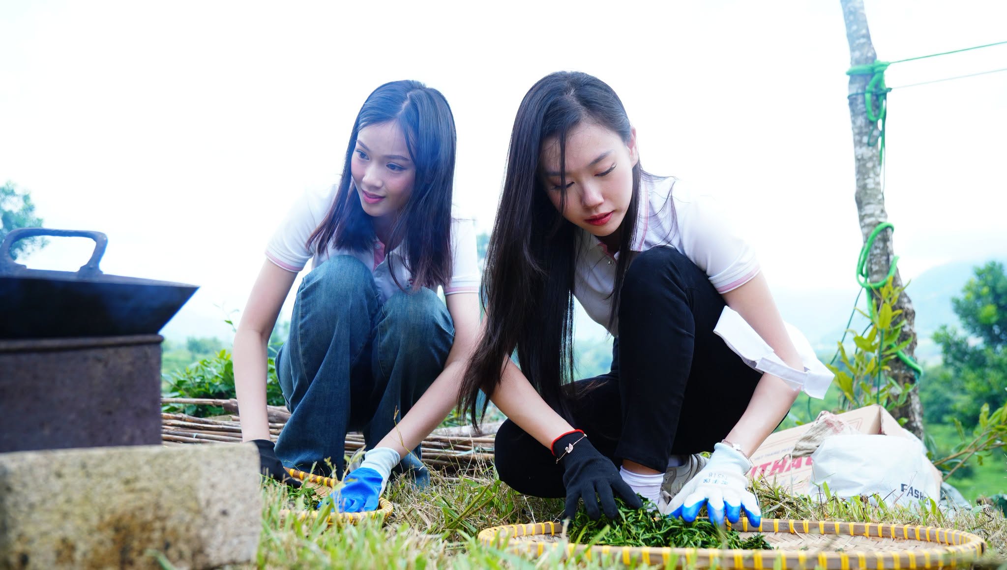 Có thể là hình ảnh về một hoặc nhiều người và cỏ