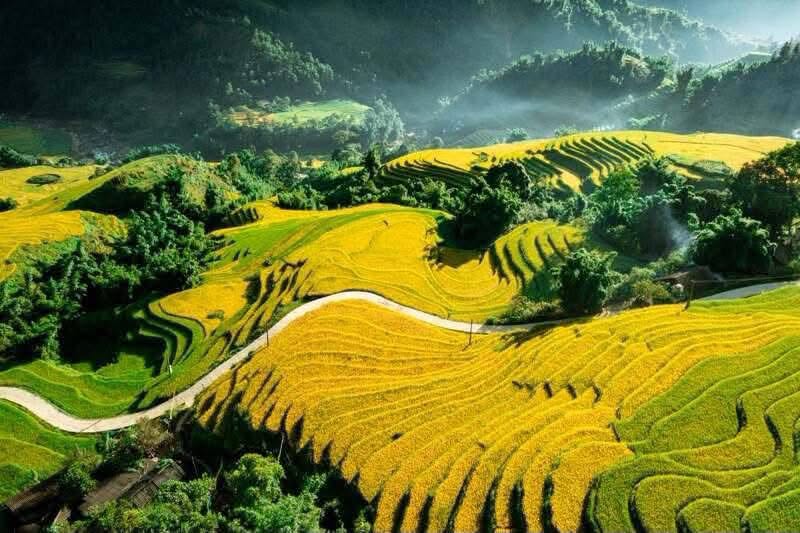 Có thể là hình ảnh về cỏ và đường