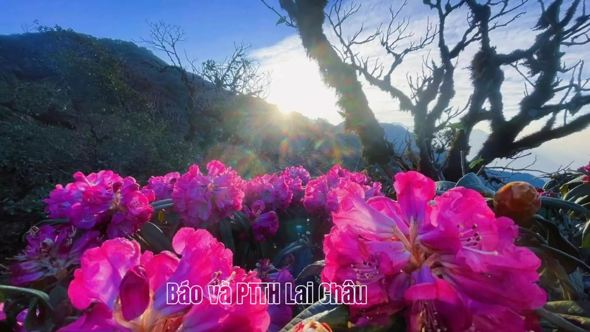 Kỳ 2: Kết nối điểm đến, hình thành hệ sinh thái bền vững